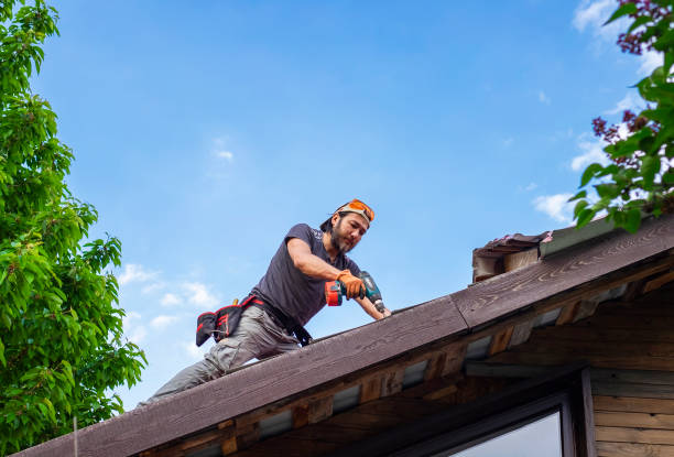 Best Roof Coating and Sealing  in Jersey Shore, PA